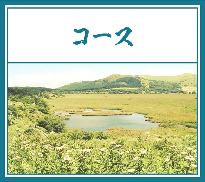 コース
