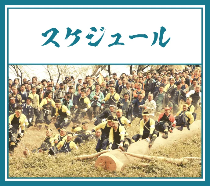 スケジュール